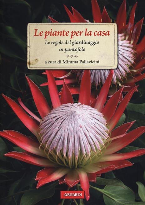 Le piante per la casa. Le regole del giardinaggio in pantofole - 3