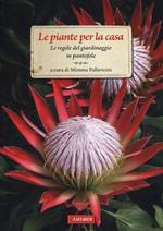 Le piante per la casa. Le regole del giardinaggio in pantofole