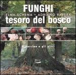 Funghi, tesoro del bosco. Il porcino e gli altri