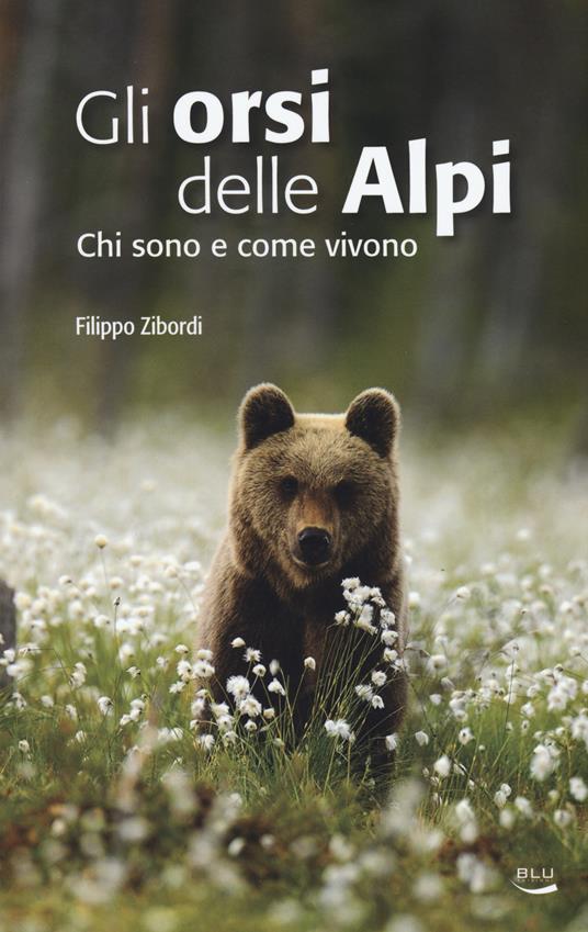 Gli orsi delle Alpi. Chi sono e come vivono - Filippo Zibordi - copertina