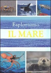 Esploriamo il mare. Tutti i segreti dei mari, degli oceani e degli abissi - Sally Morgan - copertina