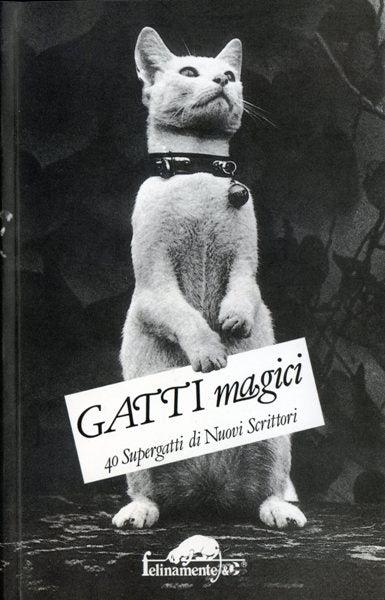 Gatti magici. 40 supergatti di nuovi scrittori - copertina