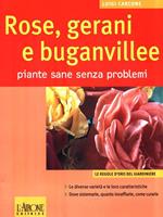 Rose, gerani e buganvillee. Piante sane senza problemi