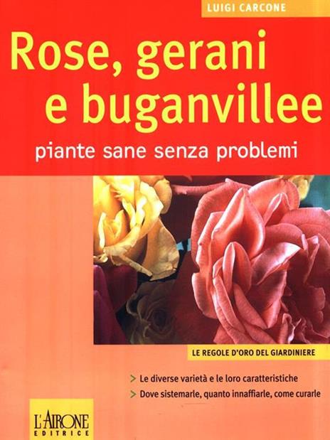 Rose, gerani e buganvillee. Piante sane senza problemi - Luigi Carcone - 2