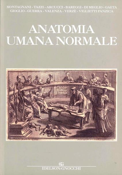 Anatomia umana normale. Ediz. illustrata - Stefania Montagnani - Antonio  Tazzi - - Libro - Idelson-Gnocchi - | IBS
