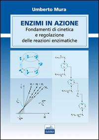 Enzimi in azione. Fondamenti di cinetica e regolazione delle funzioni enzimatiche - Umberto Mura - copertina