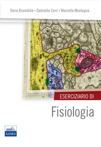 Eserciziario di fisiologia - Dario Brambilla,Gabriella Cerri,Marcella Montagna - copertina