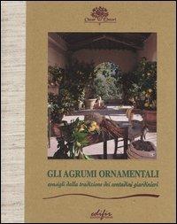 Gli agrumi ornamentali. Consigli dalla tradizione dei contadini giardinieri - Giorgio Tintori,Sergio Tintori,Paolo Galeotti - copertina