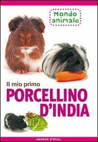 Il mio primo porcellino d'India - Amanda O'Neill - copertina