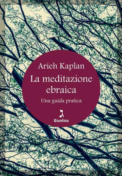 La meditazione ebraica. Una guida pratica - Aryeh Kaplan,V. Lucattini Vogelmann - ebook