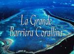 La grande barriera corallina. Ediz. illustrata