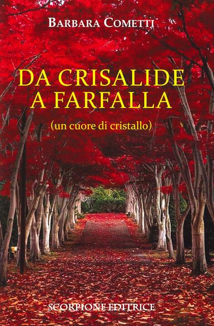 Da crisalide a farfalle (un cuore di cristallo) - Barbara Cometti - copertina