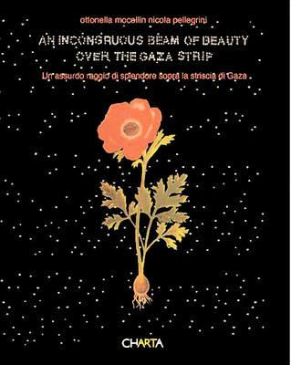 Incongruous beam of beauty over the Gaza strip-Un assurdo raggio di splendore sopra la striscia di Gaza (An). Ediz. bilingue - Ottonella Mocellin,Nicola Pellegrini - copertina