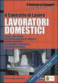 Il contratto di lavoro lavoratori domestici. Istituti contrattuali, disciplina collettiva di categoria, tabelle retributive, scadenzario contrattuale... - Pietro Zarattini,Rosalba Pelusi - copertina