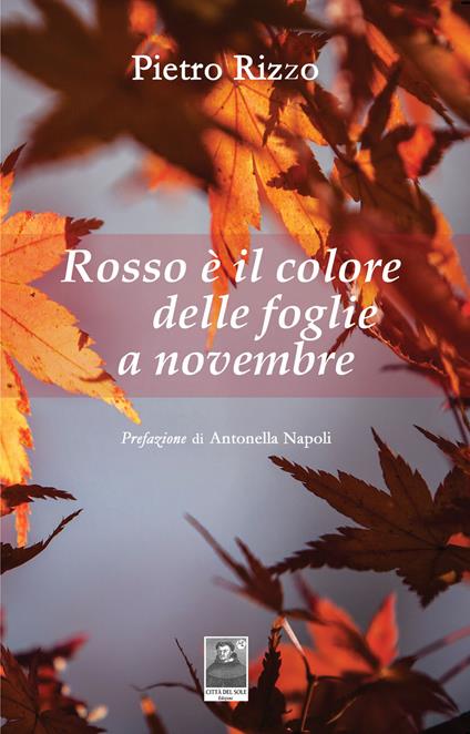 Rosso è il colore delle foglie a novembre - Pietro Rizzo - copertina