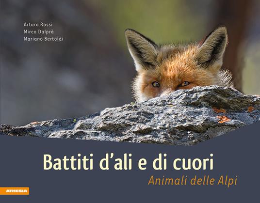 Battiti d'ali e di cuori. Animali delle Dolomiti. Ediz. illustrata - Arturo Rossi,Mirco Dalprà,Mariano Bertoli - copertina