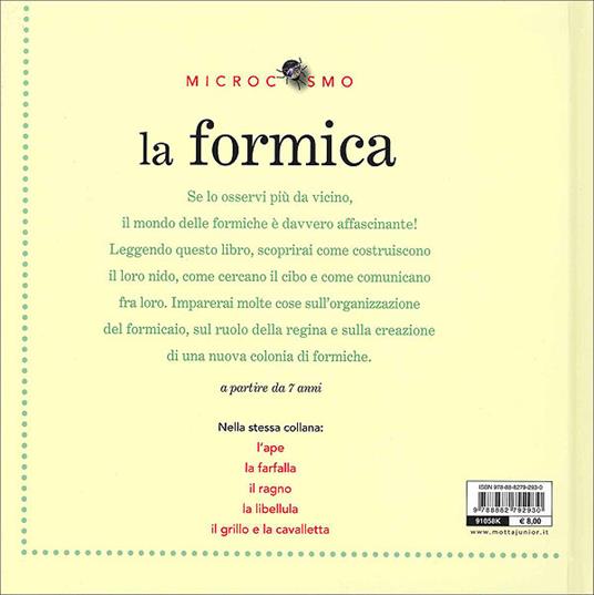 La formica. Ediz. illustrata - Ting Morris,Desiderio Sanzi - 2