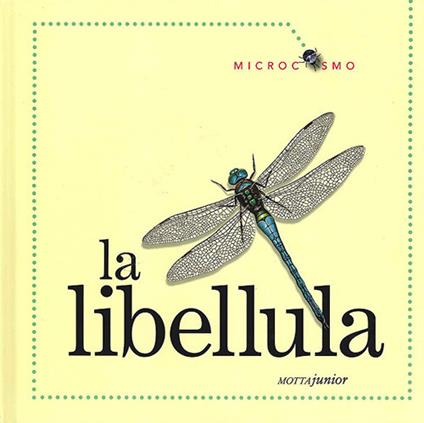 La libellula. Ediz. illustrata - Ting Morris,Desiderio Sanzi - copertina