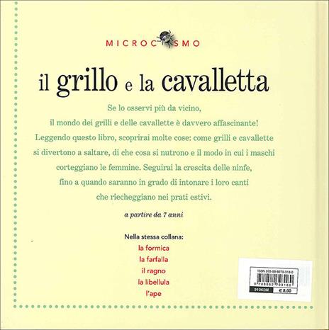 Il grillo e la cavalletta. Ediz. illustrata - Ting Morris - 2