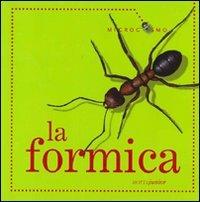 La formica - Ting Morris - copertina