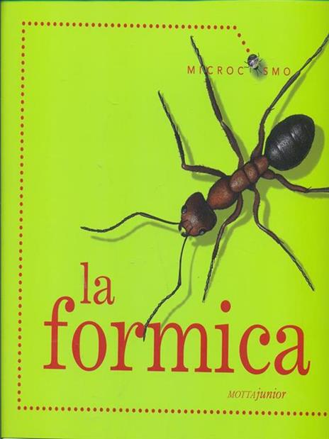 La formica - Ting Morris - 2