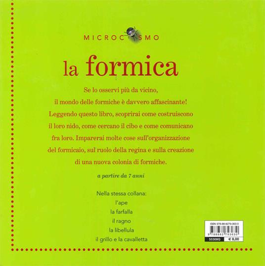 La formica - Ting Morris - 10