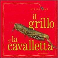 Il grillo e la cavalletta - Ting Morris - 4