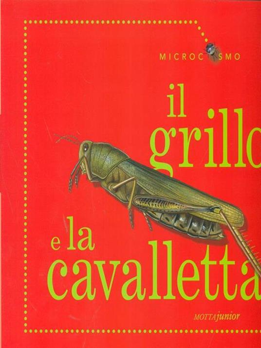 Il grillo e la cavalletta - Ting Morris - 6