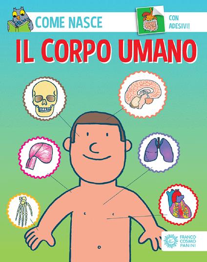 Il corpo umano. Ediz. a colori. Con Adesivi - Cinzia Bonci,Agostino Traini - copertina