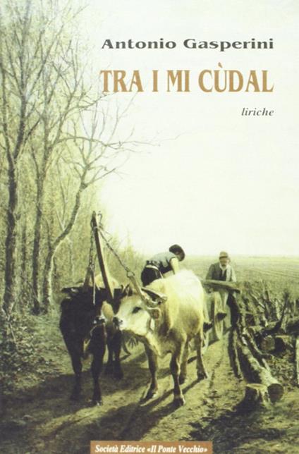 Tra i mi cudal - Antonio Gasperini - copertina