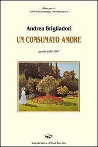 Un consumato amore - Andrea Brigliadori - copertina