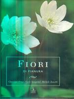 Fiori di pianura