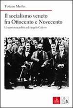 Il socialismo veneto fra Ottocento e Novecento. L'esperienza politica di Angelo Galeno