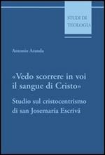 Vedo scorrere in voi il sangue di Cristo. Studio sul cristocentrismo di san Josemaría Escrivá