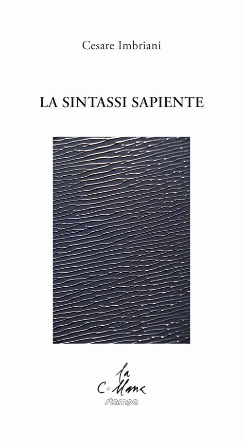 La sintassi sapiente - Cesare Imbriani - copertina