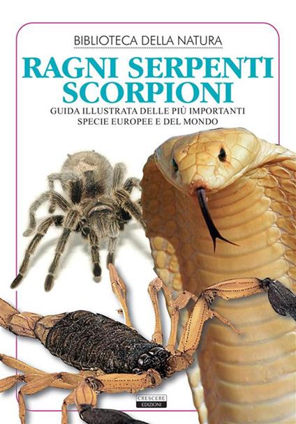 Ragni, serpenti, scorpioni. Guida illustrata di oltre 300 specie di tutto il mondo. Ediz. illustrata - Liborio Daniele Festa - ebook