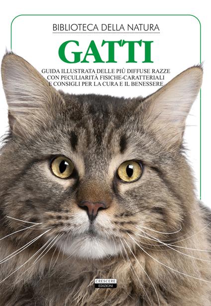 Gatti. Ediz. illustrata - copertina