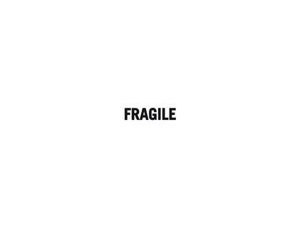 Fragile. Ediz. multilingue - M. Cristina Sammarco Pennetier - copertina