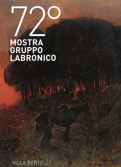 72ª mostra Gruppo Labronico. Villa Bertelli. Ediz. illustrata - copertina