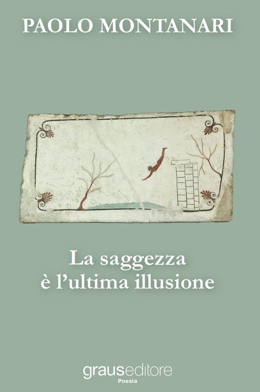 La saggezza è l'ultima illusione - Paolo Montanari - copertina