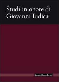 Studi in onore di Giovanni Iudica - copertina