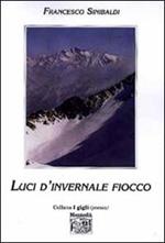 Luci d'invernale fiocco