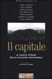 Il capitale. Le nuove strade dello sviluppo sostenibile - copertina