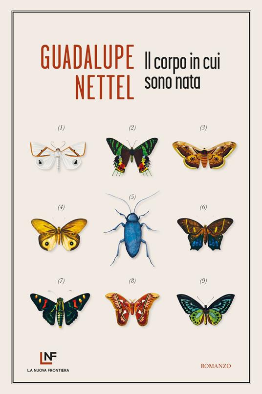 Il corpo in cui sono nata - Guadalupe Nettel,Federica Niola - ebook