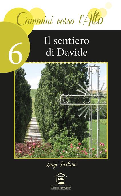 Il sentiero di Davide - Luigi Pedrini - copertina