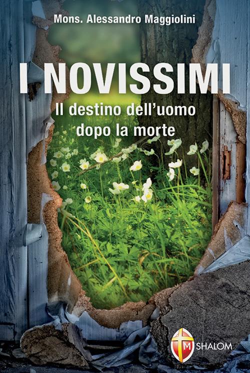 I novissimi. Il destino dell'uomo dopo la morte - Alessandro Maggiolini - copertina