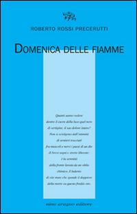 Domenica delle fiamme - Roberto Rossi Precerutti - copertina