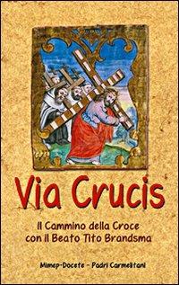 Via crucis. Il cammino della croce con il beato Tito Brandsma - Tito Brandsma - copertina