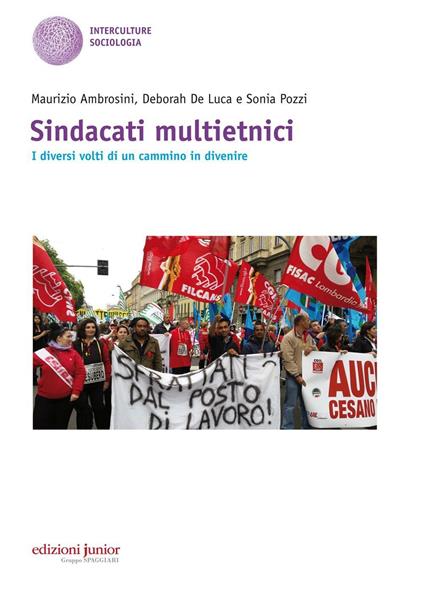 Sindacati multietnici. I diversi volti di un cammino in divenire - Maurizio Ambrosini,Deborah De Luca,Sonia Pozzi - copertina