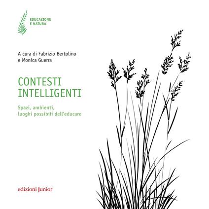 Contesti intelligenti. Spazi, ambienti, luoghi possibili dell'educare - copertina